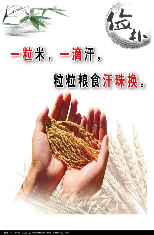 怎么买假的黑山护照